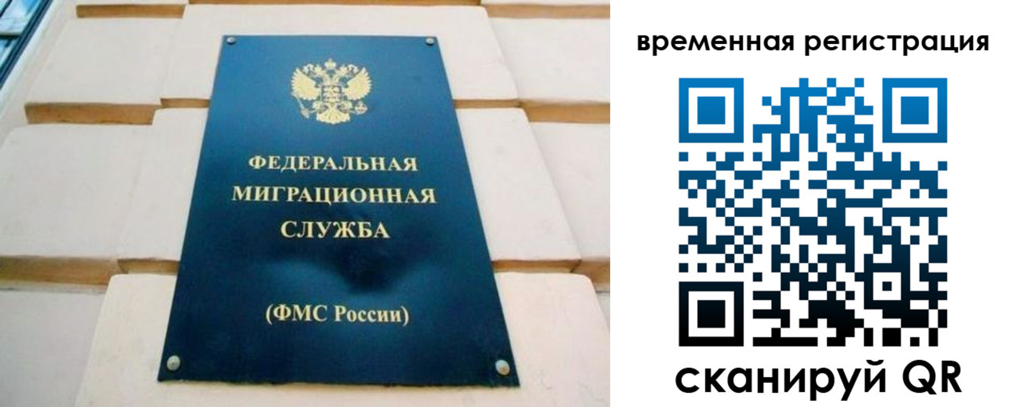 прописка гарантия в Жуковском